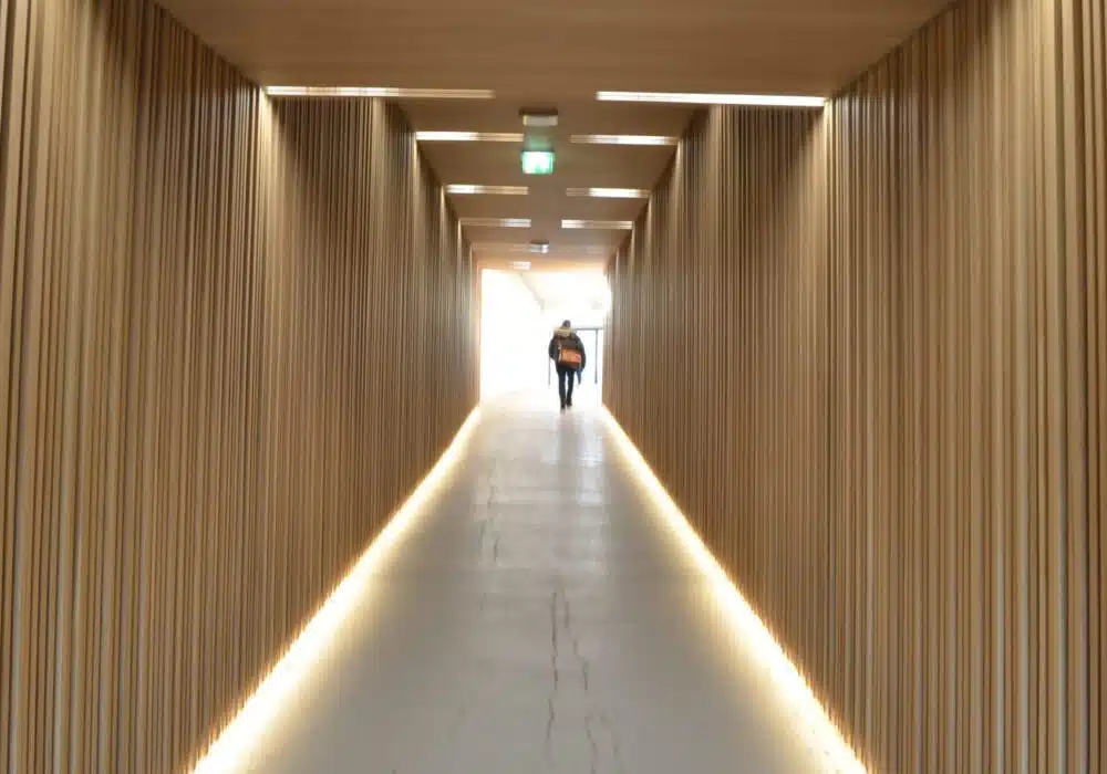 DSC_1337-scaled-1000×700